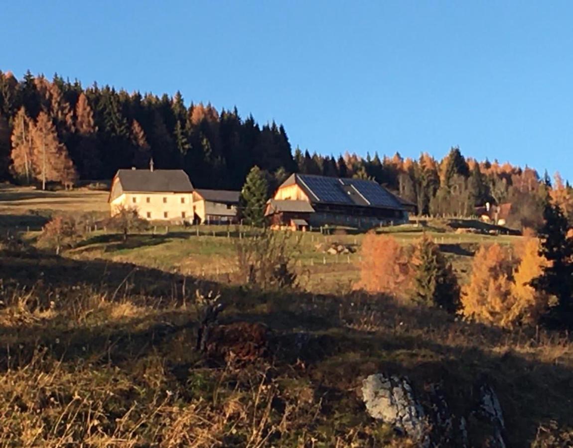 Zum Wohle Aparthotel Oberwoelz Stadt Kültér fotó